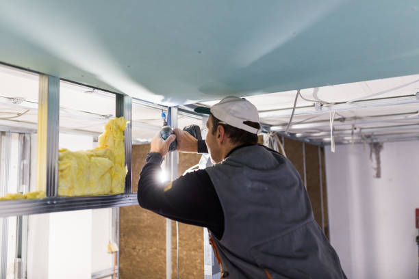 Best Insulation Repair Services  in Ramapo College Of New Jersey, NJ